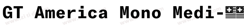GT America Mono Medi字体转换